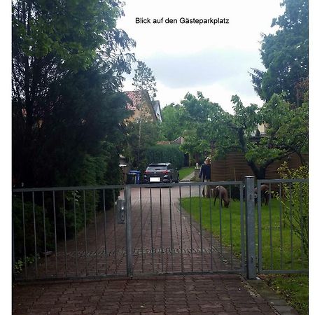 Ferienwohnung Gerlach Dresden Exteriör bild